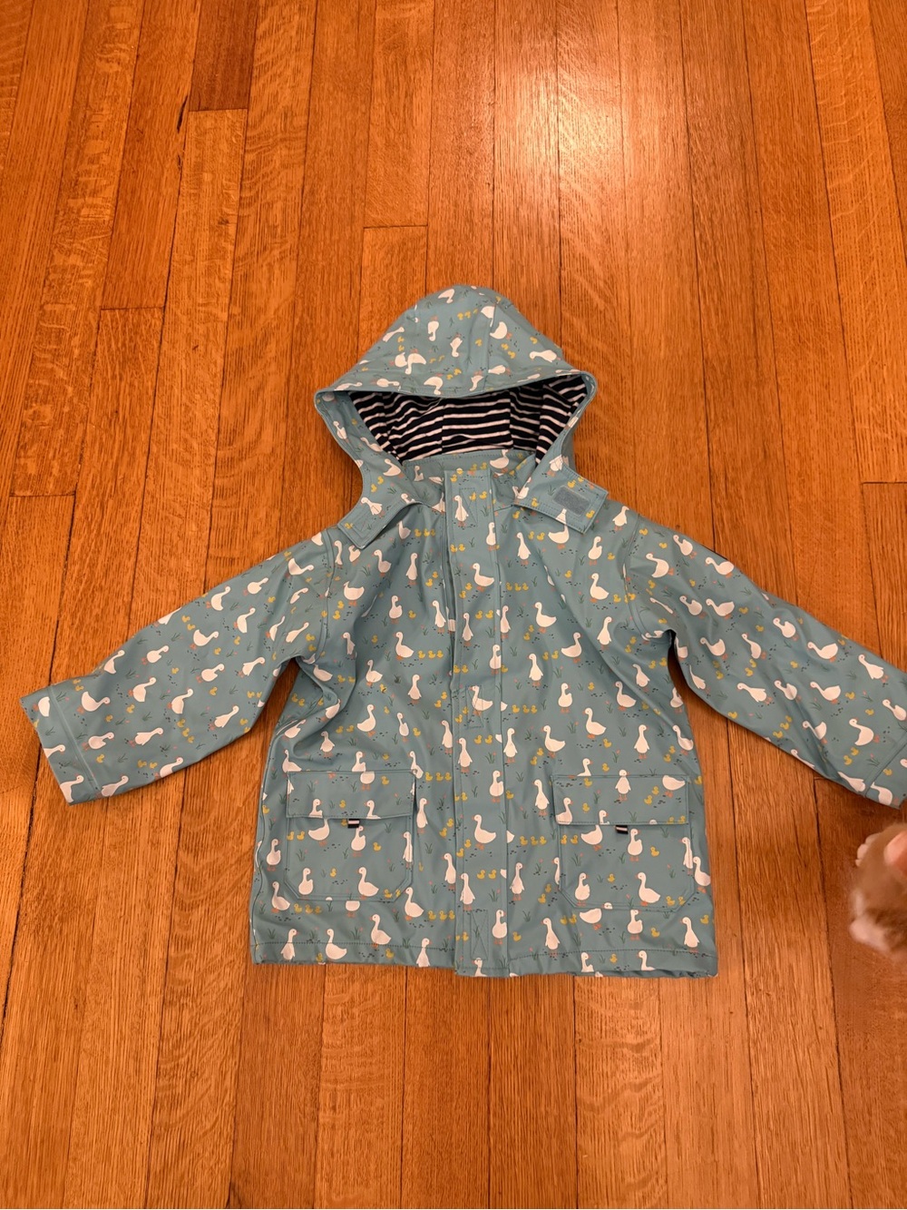 Kids JoJo Maman Bebe Teal Duck Print Rain Jacket (size 5-6)